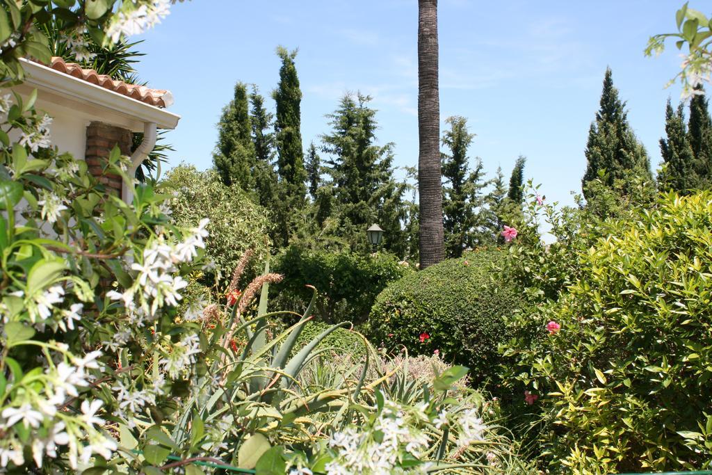 Cortijo Andaluz Acomodação com café da manhã Alhaurín el Grande Exterior foto