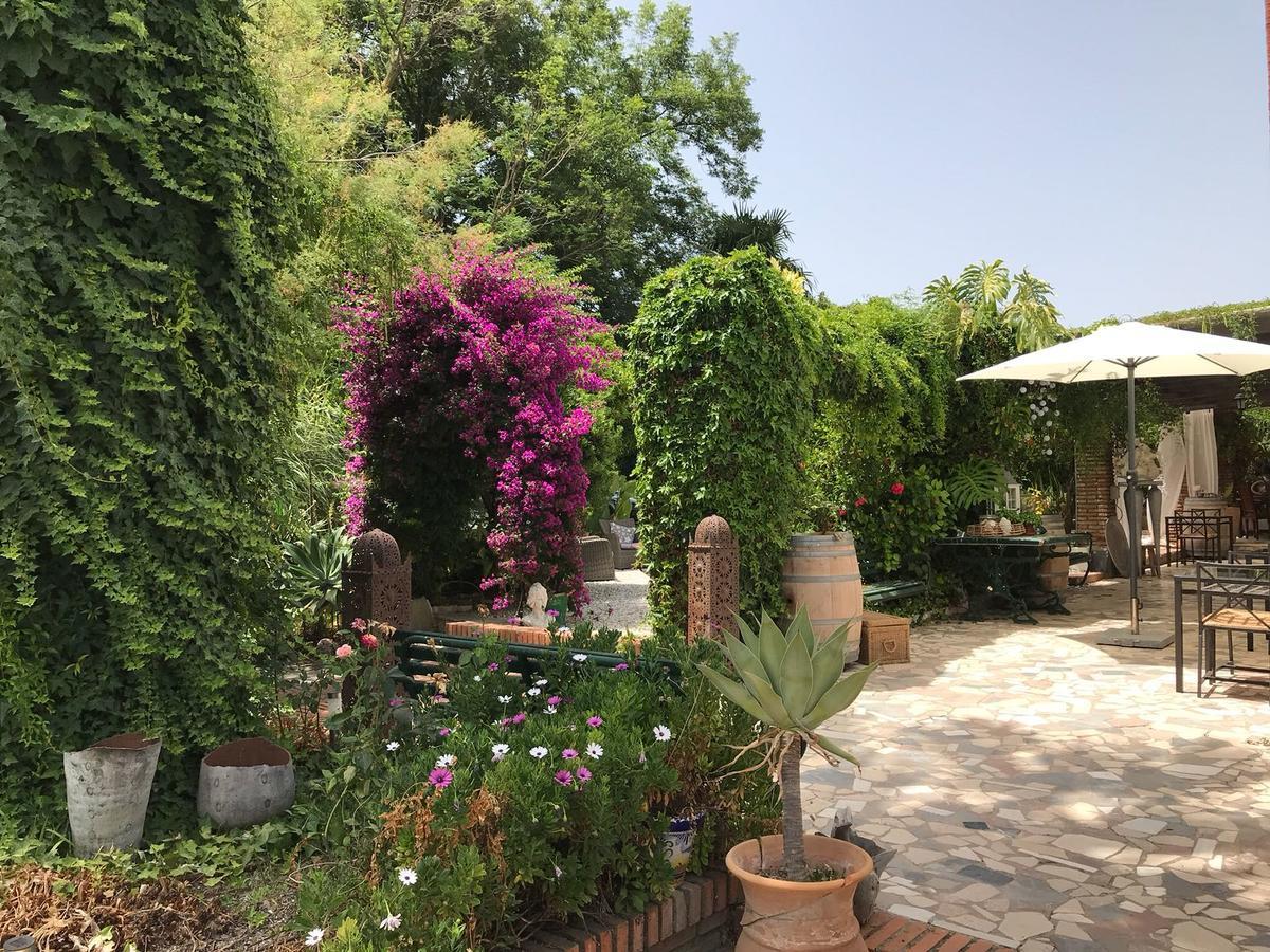 Cortijo Andaluz Acomodação com café da manhã Alhaurín el Grande Exterior foto