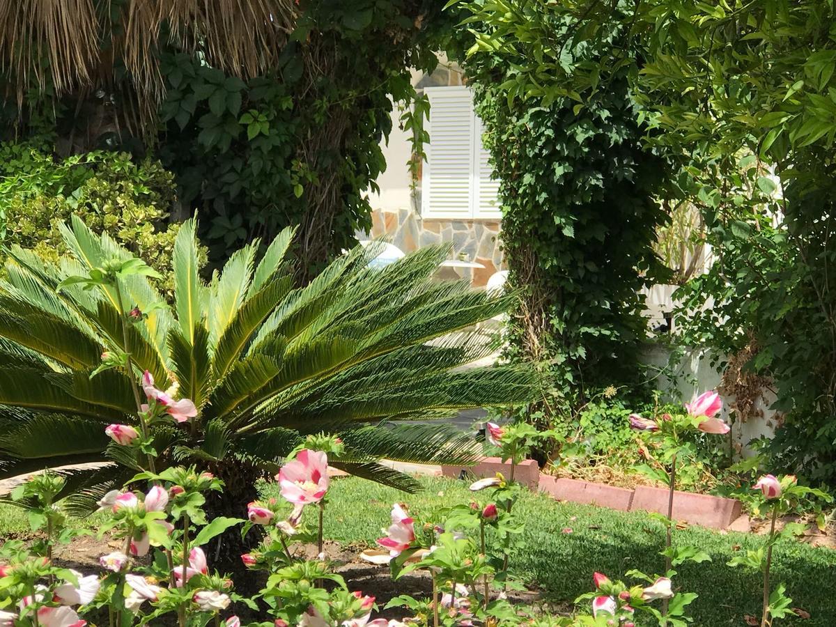 Cortijo Andaluz Acomodação com café da manhã Alhaurín el Grande Exterior foto
